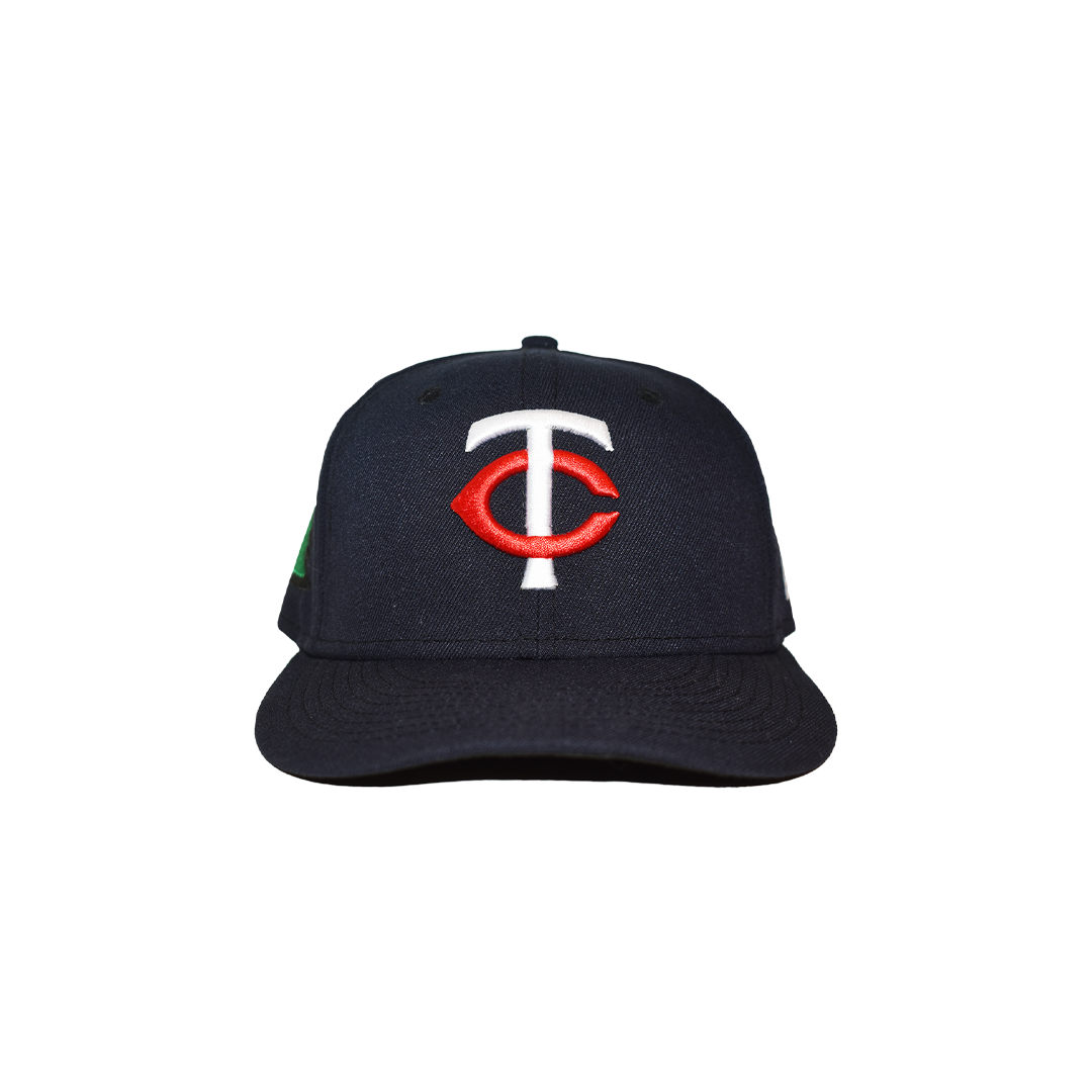 fitted hat series 3 - minnesota twin cities