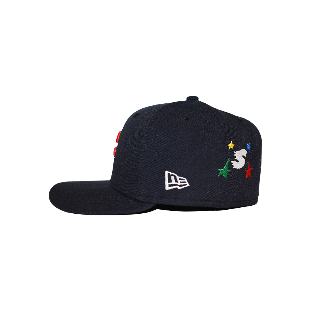 fitted hat series 3 - minnesota twin cities