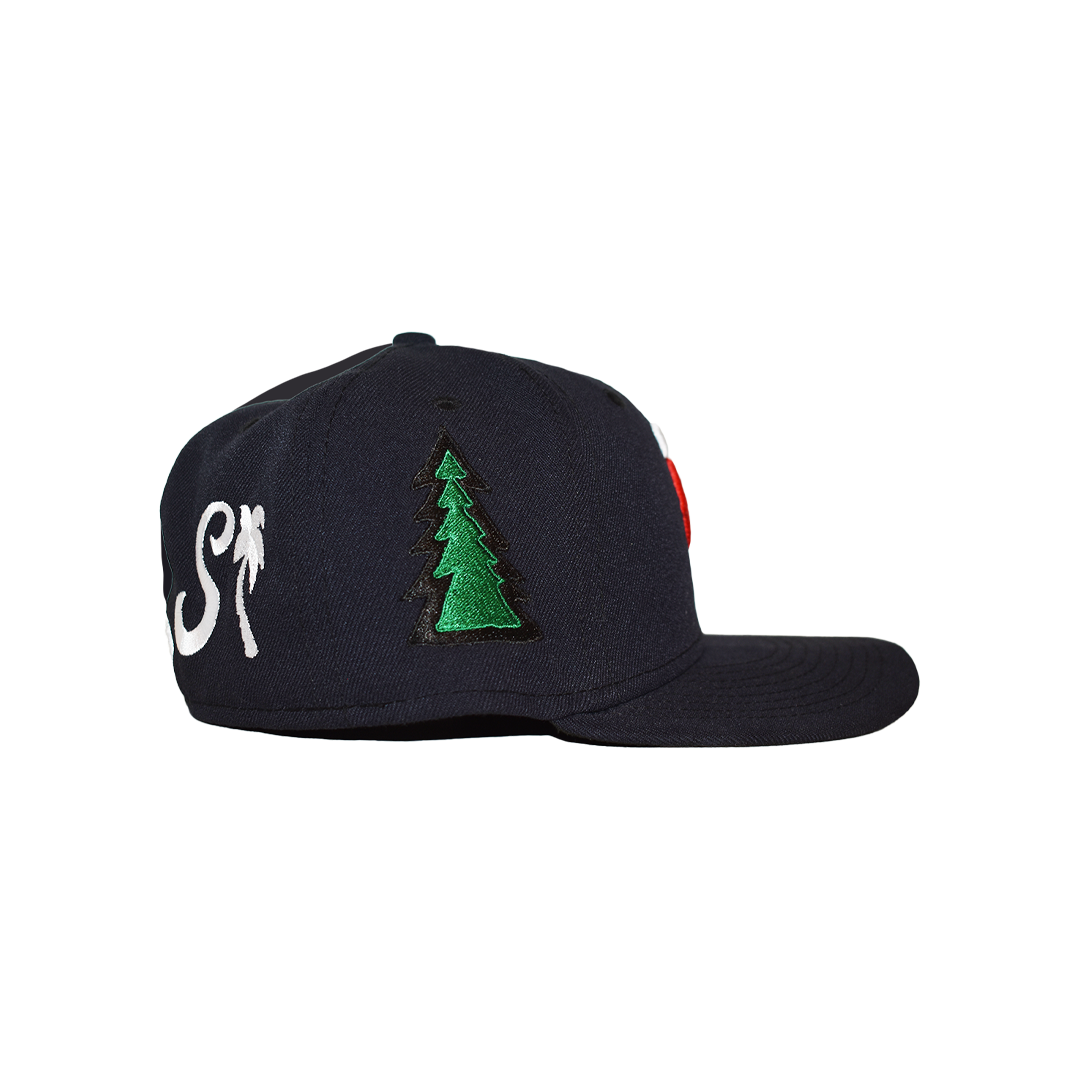 fitted hat series 3 - minnesota twin cities
