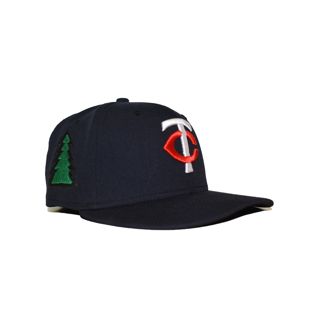 fitted hat series 3 - minnesota twin cities