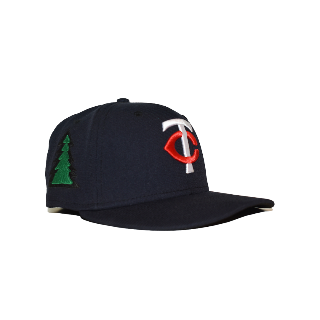 fitted hat series 3 - minnesota twin cities