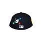 fitted hat series 2 - minnesota m
