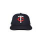 fitted hat series 3 - minnesota twin cities