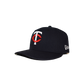 fitted hat series 3 - minnesota twin cities