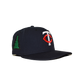 fitted hat series 3 - minnesota twin cities
